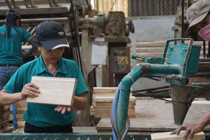 Các doanh nghiệp sản xuất hướng đến bảo vệ môi trường và duy trì mức tăng trưởng cao để tăng thu nhập cho người lao động.
