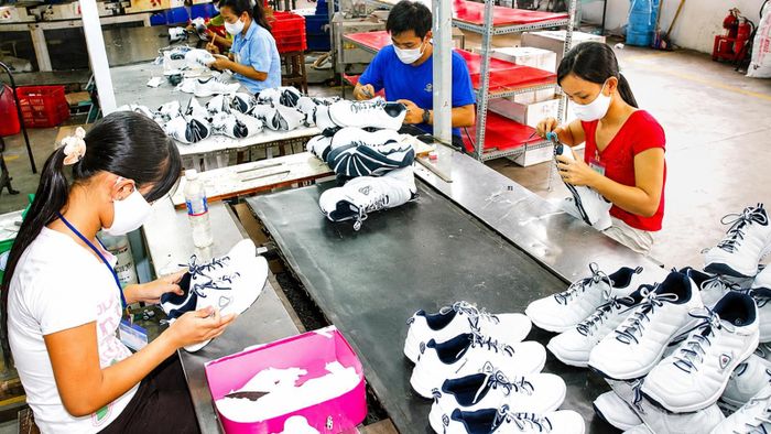 Những doanh nghiệp sản xuất da giày đang đóng góp nhiều cho phát triển kinh tế TP Hồ Chí Minh.