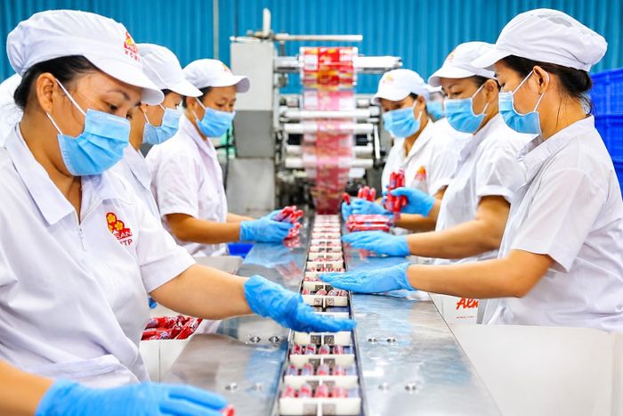 Các doanh nghiệp sản xuất tập trung đầu tư cho công nghệ để nâng cao năng suất lao động.