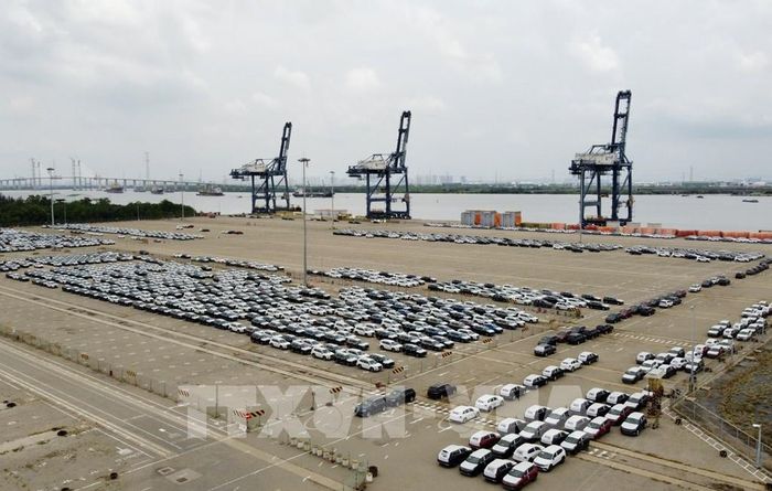 Thu ngân sách Hải quan khu vực XI tăng hơn 40%. Ảnh ninh họa: Trung Tuyến - TTXVN