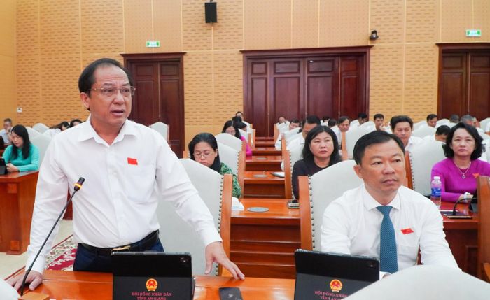 Các đại biểu HĐND tỉnh An Giang thảo luận tại kỳ họp.