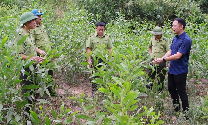  Đại diện doanh nghiệp và cán bộ kiểm lâm chia sẻ các điều kiện đáp ứng tiêu chuẩn xuất khẩu lâm sản. 