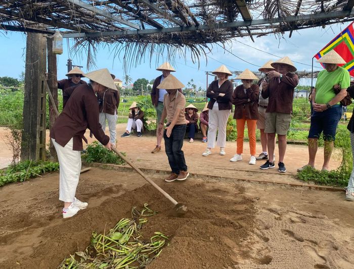 Canh tác hữu cơ tại làng rau Trà Quế (phường Hội An Tây). Ảnh: V.L