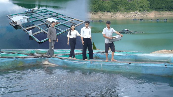 Trà Đốc mở rộng lĩnh vực kinh tế với mô hình nuôi và sản xuất các sản phẩm thương mại từ cá lồng bè. Ảnh: PHAN VINH