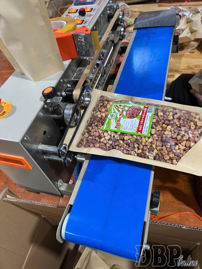 Hệ thống dây chuyền đóng gói sản phẩm được HTX Tiến Đạt đầu tư đồng bộ, nâng cao năng suất, giảm chi phí nhân công.