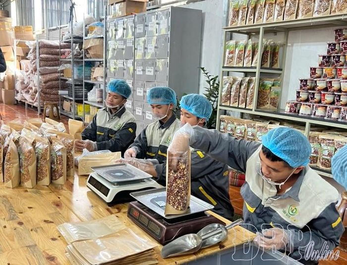 Sản phẩm ngô nếp sấy của HTX Tiến Đạt, phường Mường Thanh góp phần nâng cao giá trị nông sản của địa phương.