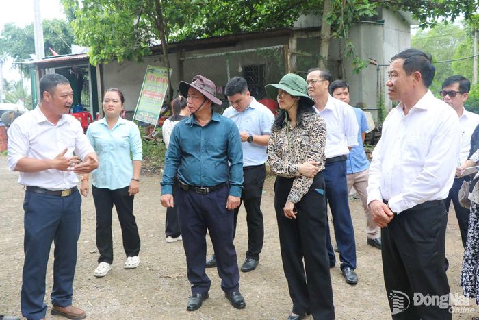 Đoàn giám sát của HĐND thành phố giám sát một khu vực bến phà ven sông ở xã Tà Lài.