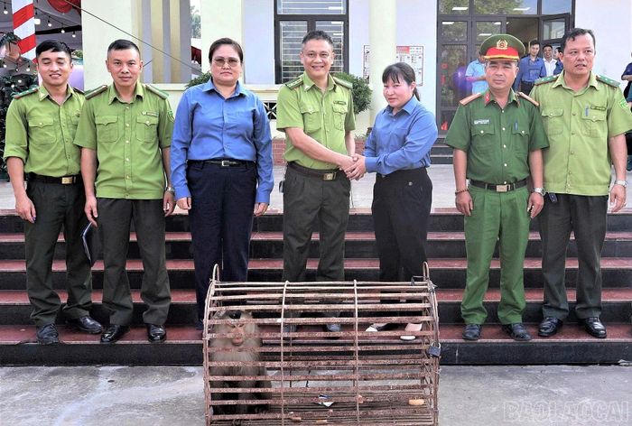 Tổ kiểm tra thống nhất đề nghị UBND phường Nam Cường tiếp nhận cá thể Khỉ đuôi lợn.