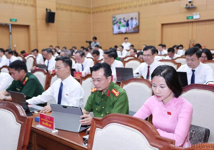 Các đại biểu dự kỳ họp.
