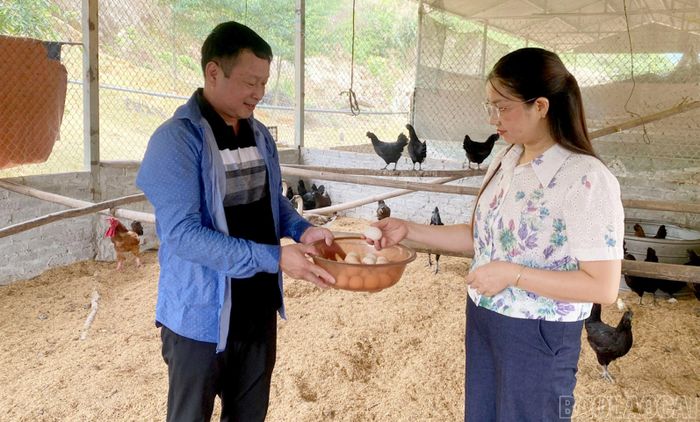 Ông Phạm Ngọc Anh giới thiệu sản phẩm từ mô hình nuôi gà đen H’Mông.