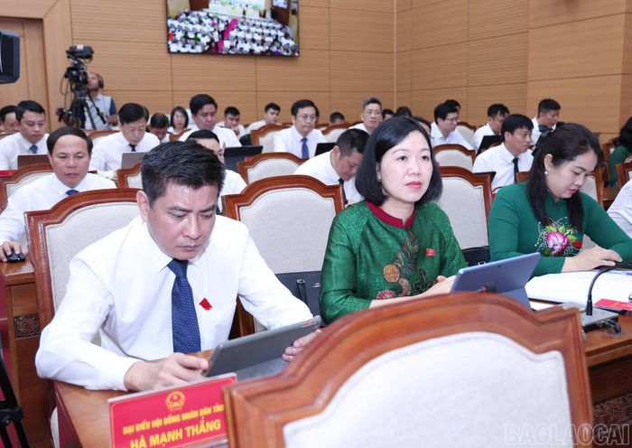 Đại biểu dự kỳ họp.