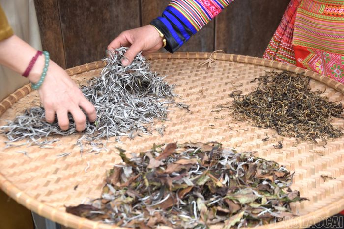 Chị Mùa Thị Mỵ trao đổi về các loại chè với khách hàng ở Hà Nội.