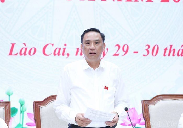 Đồng chí Hoàng Giang - Phó Bí thư Thường trực Tỉnh ủy, Chủ tịch HĐND tỉnh phát biểu thảo luận tại hội trường.