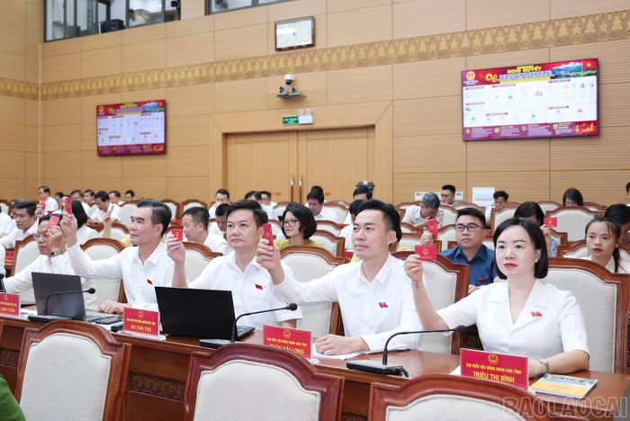 Đại biểu biểu quyết thông qua nghị quyết tại kỳ họp.