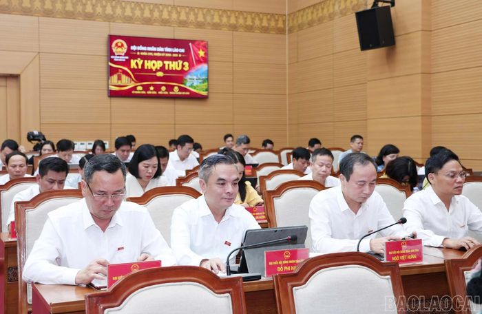 Các đại biểu tại phiên thảo luận.
