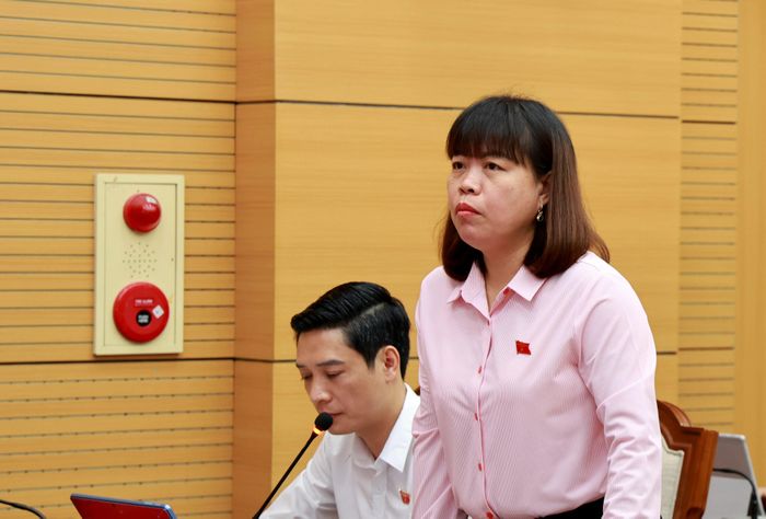 Nhiều nội dung trong báo cáo phát triển kinh tế - xã hội, dự thảo báo cáo, tờ trình đã được nêu tại phiên thảo luận.