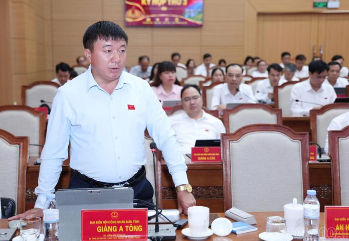 Đại biểu nêu ý kiến chất vấn.