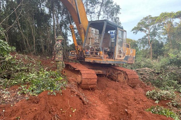 Các vụ việc khiếu nại, tố cáo của người dân phía Tây của Lâm Đồng được tiếp tục kế thừa, rà soát và xử lý