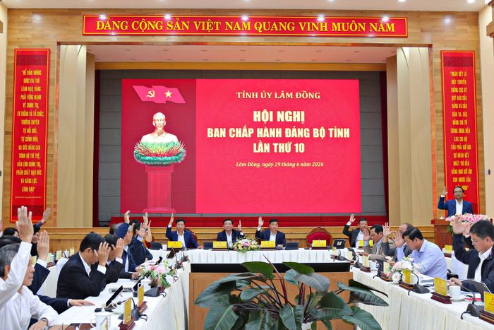 Các đại biểu biểu quyết thông qua các tờ trình của Ban Thường vụ Tỉnh ủy