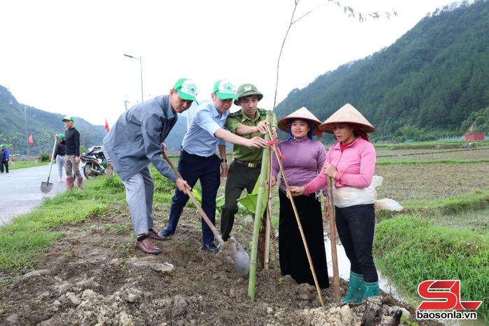 Cán bộ Quỹ Bảo vệ và Phát triển rừng tỉnh và nhân dân bản Mường Chiến, xã Ngọc Chiến trồng cây mai anh đào.
