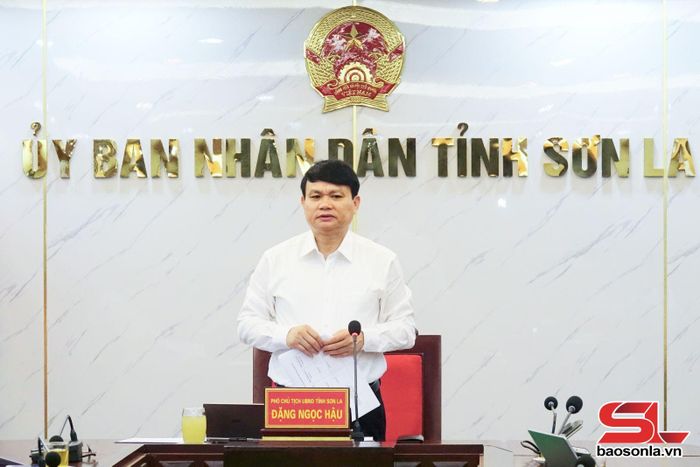 Đồng chí Phó Chủ tịch UBND tỉnh phát biểu.