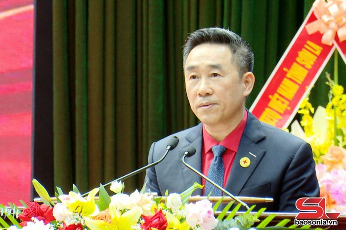 Đồng chí Nguyễn Hải Anh, Phó Chủ tịch, Tổng thư ký Hội Chữ thập đỏ Việt Nam phát biểu tại đại hội.