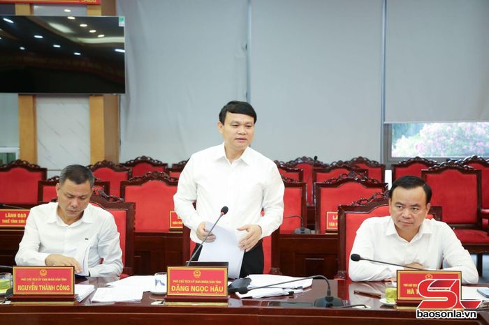 Đồng chí Phó Chủ tịch UBND tỉnh phát biểu tại hội nghị.