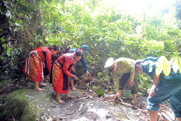 Những tuyến đường tuần tra xuyên rừng được phát dọn thường xuyên, giúp nâng cao hiệu quả bảo vệ rừng đầu nguồn.