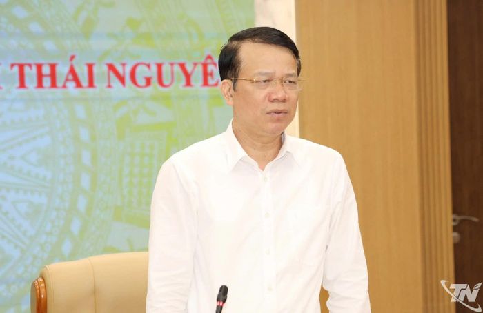 Đồng chí Phó Chủ tịch UBND tỉnh Dương Văn Lượng kết luận cuộc họp.