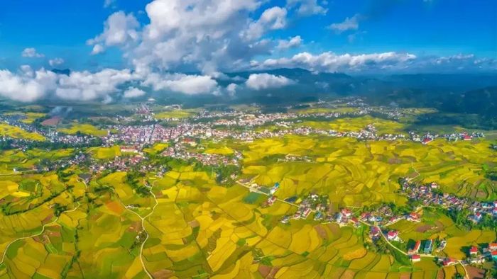 Nông nghiệp vẫn giữ vai trò quan trọng trong phát triển kinh tế và bảo đảm an sinh xã hội của xã Thất Khê