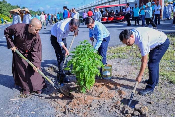 Trồng cây hoàng yến dọc tuyến đường Kênh 4