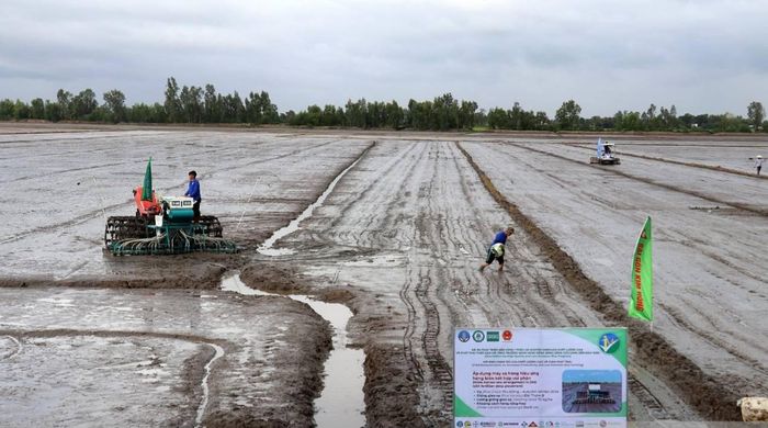 Nhiều phương pháp sạ lúa tiên tiến áp dụng trong ngành nông nghiệp ở An Giang.