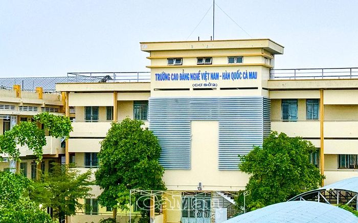  Sau khi hợp nhất, Trường Cao đẳng Cà Mau sẽ đào tạo ở 3 trình độ: cao đẳng, trung cấp và sơ cấp.
