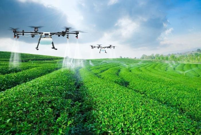 Khoa học - công nghệ làm động lực phát triển nhằm đẩy mạnh sản xuất nông nghiệp xanh, an toàn theo hướng hữu cơ, góp phần nâng cao giá trị nông sản, bảo vệ môi trường và đáp ứng yêu cầu ngày càng cao của thị trường. 