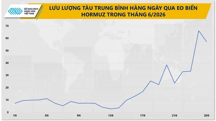 Lưu lượng tàu trung bình hằng ngày qua eo biển Hormuz tháng 6. Nguồn: MXV