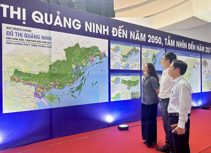 Đại diện các doanh nghiệp, đơn vị xem và nghiên cứu Quy hoạch chung đô thị tỉnh Quảng Ninh đến năm 2050, tầm nhìn đến năm 2075.