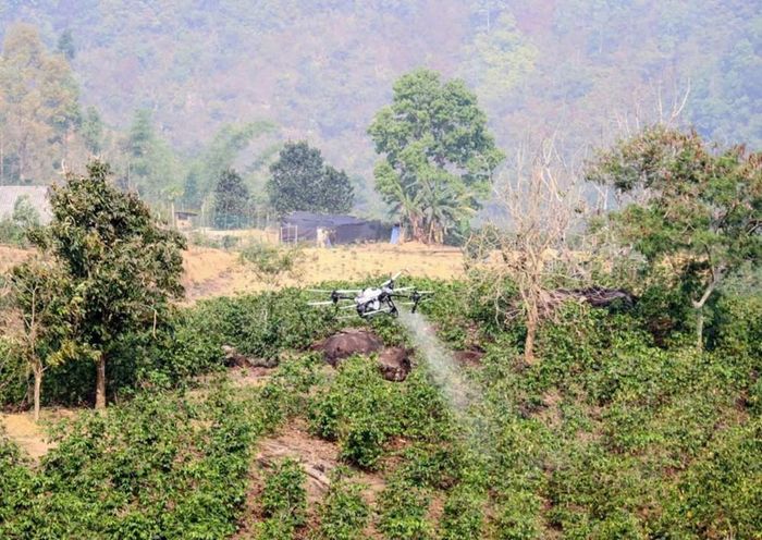 Trình diễn bay UAV thử nghiệm mô hình phát triển kinh tế không gian tầm thấp tại xã Mường Ảng