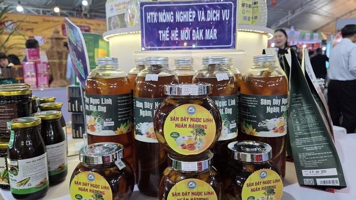 Các sản phẩm OCOP của Quảng Ngãi được trưng bày, giới thiệu tại hội chợ, góp phần quảng bá đặc sản địa phương và mở rộng thị trường tiêu thụ