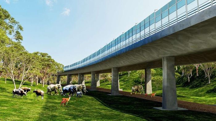 Tĩnh không dưới cầu, bảo vệ cho các động vật qua lại an toàn.