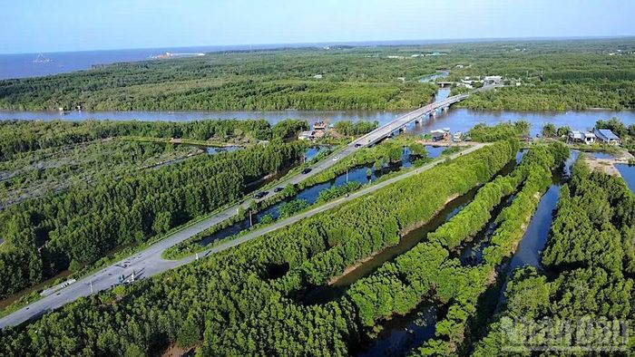 Khi hoàn thiện về hạ tầng, Cà Mau kỳ vọng phát triển mạnh ngành công nghiệp không khói nhờ tiềm năng lớn về rừng và biển.