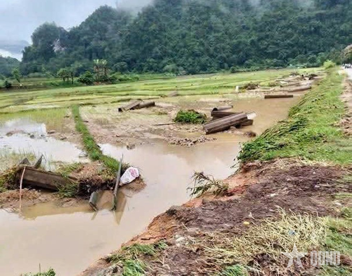 Mưa lớn kéo dài làm nhiều diện tích hoa màu tại xã Lâm Bình bị ngập úng, vùi lấp.