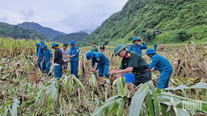 Các địa phương huy động lực lượng tại chỗ hỗ trợ người dân khắc phục hậu quả mưa lũ.