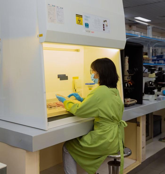 Đặng Thanh Lam trong quá trình làm việc tại Đơn vị Nghiên cứu Lâm sàng Đại học Oxford tại TP. HCM (OUCRU-HCM).