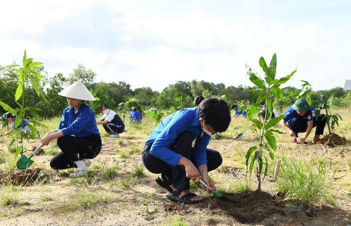  Đoàn viên, thanh niên xã Cần Giờ trồng cây hưởng ứng chương trình 