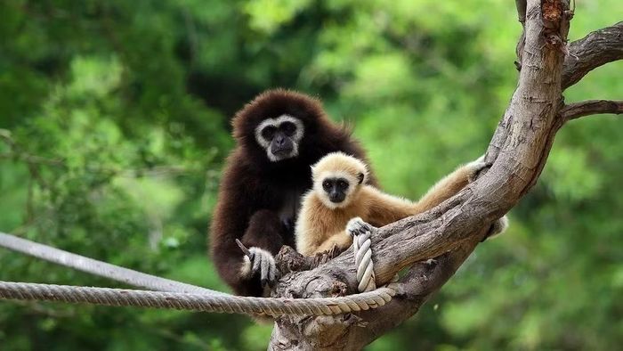 Ảnh: National Geographic Kids