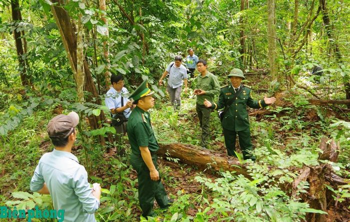Đoàn công tác khảo sát thực địa. Ảnh: Văn Hoàn
