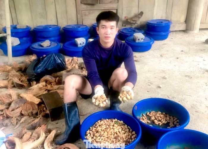 Mô hình phát triển kinh tế của Danh được nhiều thanh niên địa phương học tập.