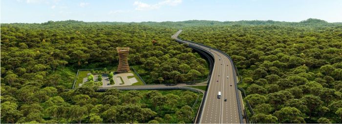 Phối cảnh dự án đường trên cao xuyên rừng Mã Đà. Ảnh: Chủ đầu tư