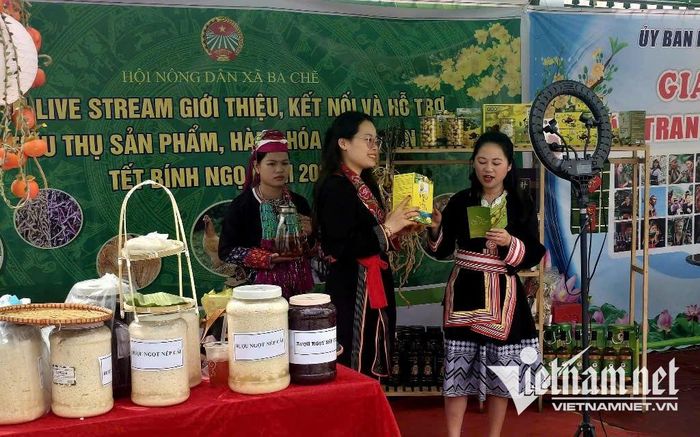 Nhiều nông dân vùng cao đã quen với việc Livestream giới thiệu sản phẩm, nhận đơn hàng trực tuyến. Ảnh: Mỹ Dung