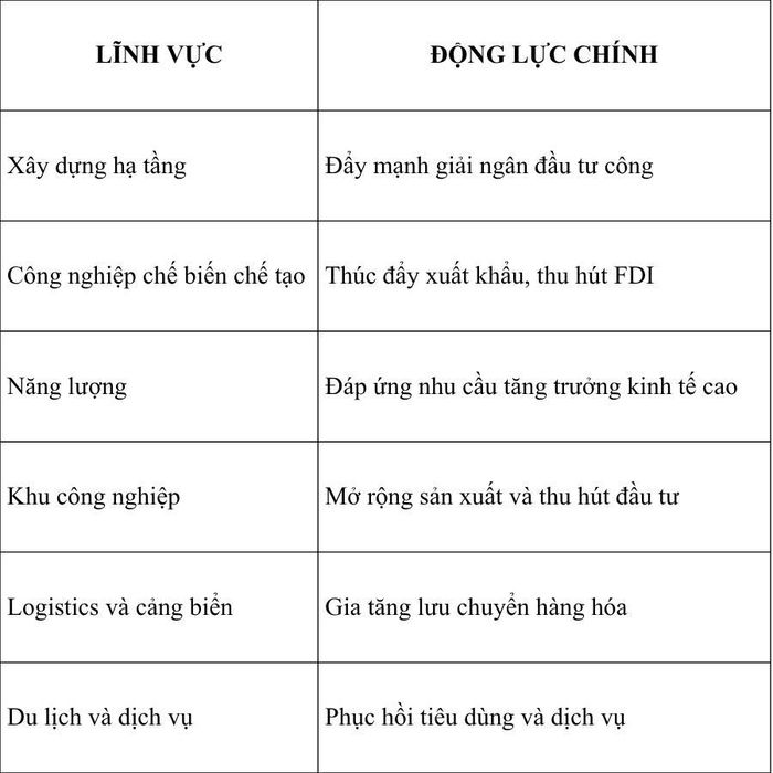 Một số lĩnh vực được kỳ vọng hưởng lợi từ định hướng điều hành tăng trưởng. Nguồn: VFS tổng hợp 